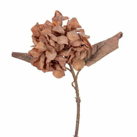 VICKERMAN 13 in. Plum Dried Hydrangea Spray, 6 Piece, 48PK FM224016